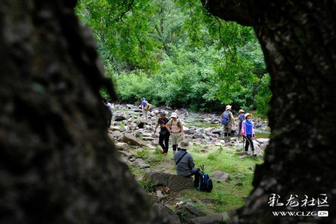 官方认证让“食在广州”更响亮